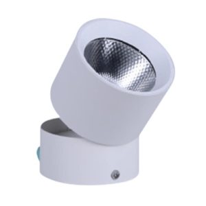 Surface Foldable Spot Fixture White Daylight 15W