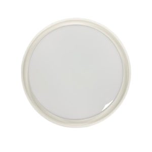 Ceiling Lamp Led 24W DayLight 6500K White